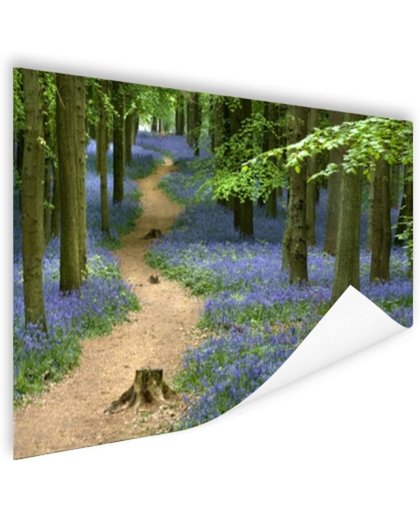 FotoCadeau.nl - Bospaadje met blauwe bloemen Poster 120x80 cm - Foto print op Poster (wanddecoratie)