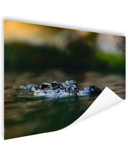 FotoCadeau.nl - Krokodil aan de oppervlakte Poster 150x75 cm - Foto print op Poster (wanddecoratie)