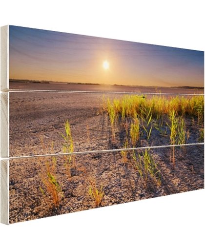 FotoCadeau.nl - Droge woestijn met plantjes  Hout 120x80 cm - Foto print op Hout (Wanddecoratie)