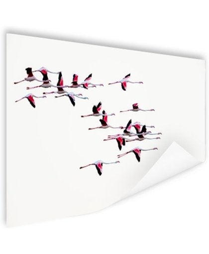 FotoCadeau.nl - Vliegende flamingos Poster 60x40 cm - Foto print op Poster (wanddecoratie)
