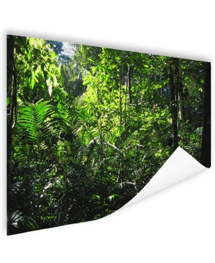 FotoCadeau.nl - Regenwoud Brazilie  Poster 90x60 cm - Foto print op Poster (wanddecoratie)