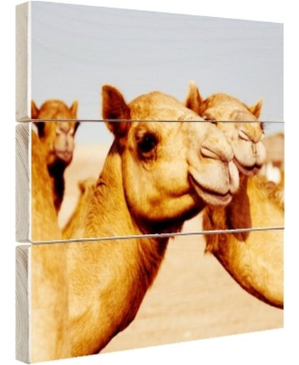 FotoCadeau.nl - Kamelen op zandvlakte in Dubai Hout 20x20 cm - Foto print op Hout (Wanddecoratie)