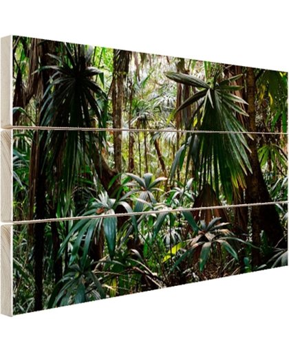 FotoCadeau.nl - Planten in regenwoud Hout 60x40 cm - Foto print op Hout (Wanddecoratie)