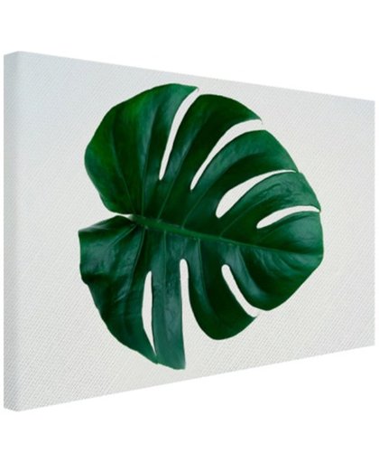 FotoCadeau.nl - Gatenplant blad botanisch Canvas 80x60 cm - Foto print op Canvas schilderij (Wanddecoratie)
