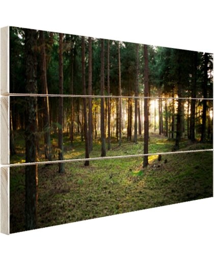 FotoCadeau.nl - Zon die door bomen in bos schijnt Hout 120x80 cm - Foto print op Hout (Wanddecoratie)