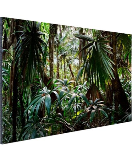 FotoCadeau.nl - Planten in regenwoud Aluminium 30x20 cm - Foto print op Aluminium (metaal wanddecoratie)