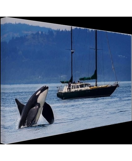Orka bij een boot Canvas 180x120 cm - Foto print op Canvas schilderij (Wanddecoratie)