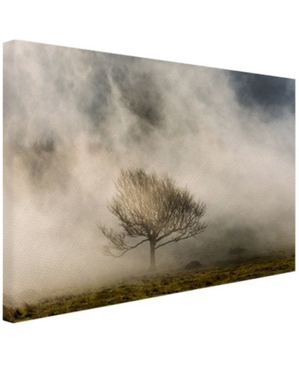 FotoCadeau.nl - Eenvoudige boom in de mist Canvas 80x60 cm - Foto print op Canvas schilderij (Wanddecoratie)