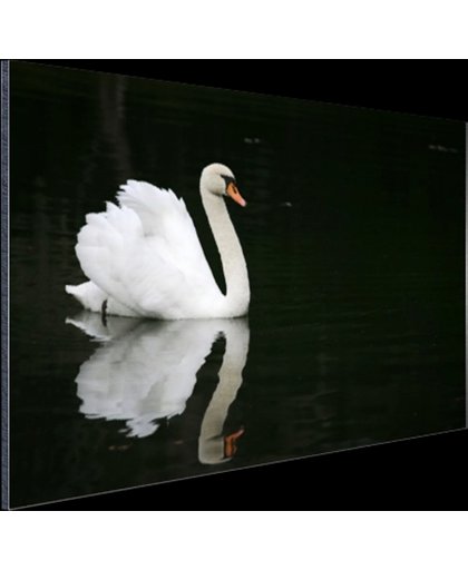 FotoCadeau.nl - Gracieuze zwemmer Aluminium 30x20 cm - Foto print op Aluminium (metaal wanddecoratie)