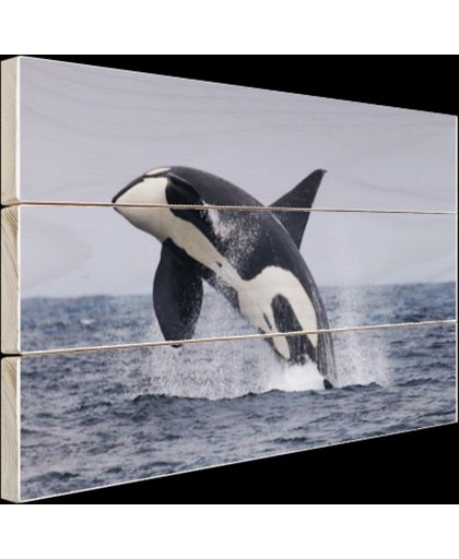 FotoCadeau.nl - Springende orka Hout 60x40 cm - Foto print op Hout (Wanddecoratie)