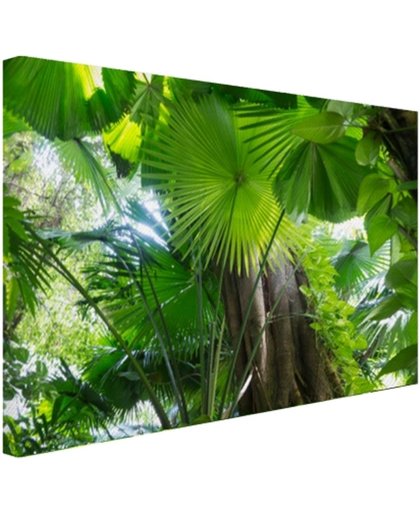 FotoCadeau.nl - Tropisch regenwoud Canvas 80x60 cm - Foto print op Canvas schilderij (Wanddecoratie)