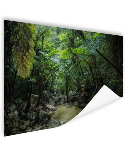 FotoCadeau.nl - Riviertje in tropische jungle Poster 120x80 cm - Foto print op Poster (wanddecoratie)