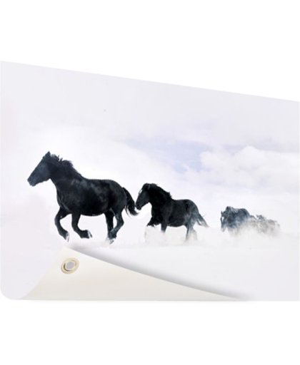 FotoCadeau.nl - Zwarte paarden in de sneeuw Tuinposter 120x80 cm - Foto op Tuinposter (tuin decoratie)