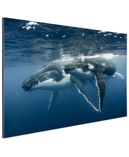 Bultrug moeder en kind zwemmen samen Aluminium 180x120 cm - Foto print op Aluminium (metaal wanddecoratie)