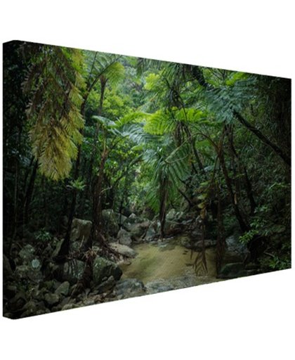 Riviertje in tropische jungle Canvas 180x120 cm - Foto print op Canvas schilderij (Wanddecoratie)