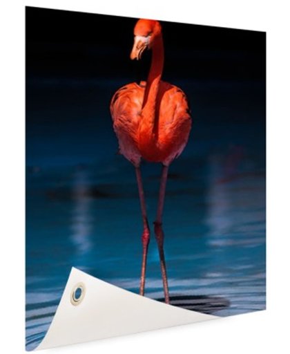 FotoCadeau.nl - Flamingo donkere achtergrond Tuinposter 100x200 cm - Foto op Tuinposter (tuin decoratie)