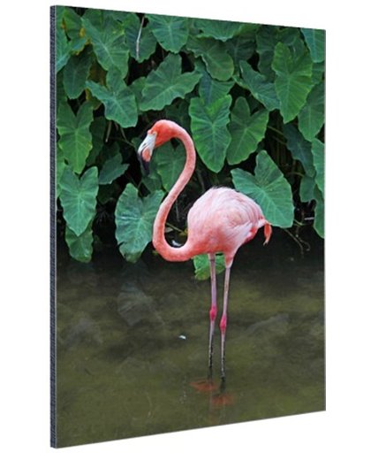 Een flamingo met planten achtergrond Aluminium 120x180 cm - Foto print op Aluminium (metaal wanddecoratie)