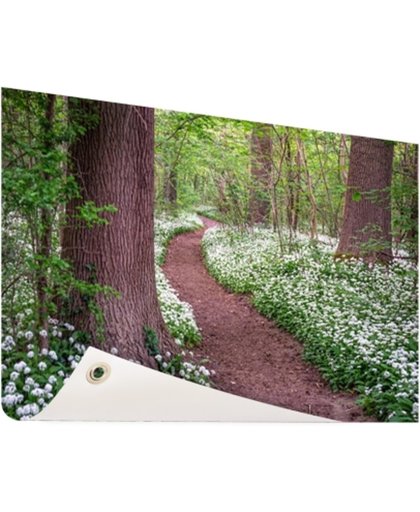 FotoCadeau.nl - Pad in een bos met wilde knoflook Tuinposter 120x80 cm - Foto op Tuinposter (tuin decoratie)