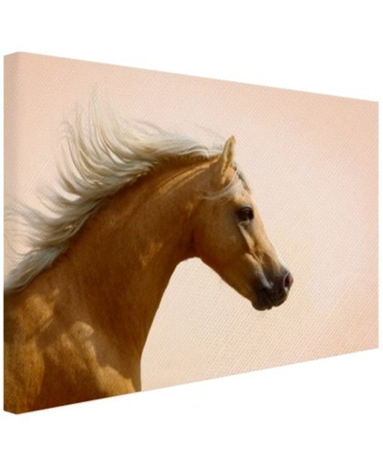 FotoCadeau.nl - Welsh pony foto afdruk Canvas 60x40 cm - Foto print op Canvas schilderij (Wanddecoratie)