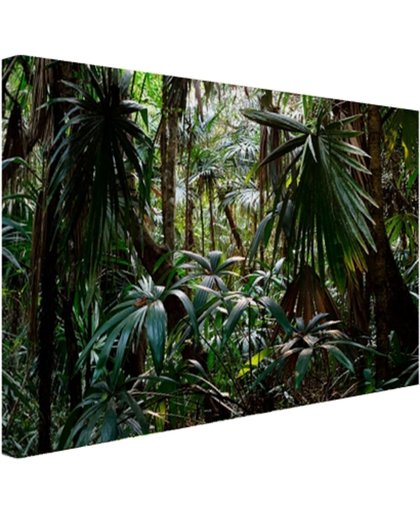 Planten in regenwoud Canvas 180x120 cm - Foto print op Canvas schilderij (Wanddecoratie)
