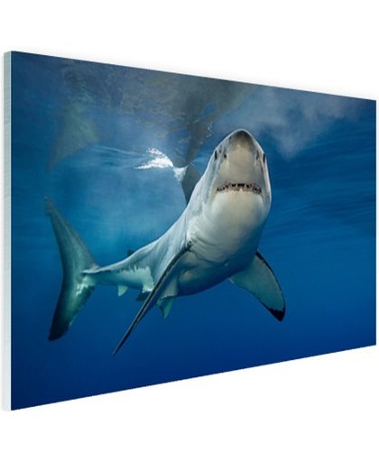 Grote witte haai Glas 180x120 cm - Foto print op Glas (Plexiglas wanddecoratie)