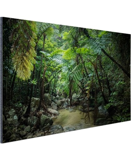 Riviertje in tropische jungle Aluminium 180x120 cm - Foto print op Aluminium (metaal wanddecoratie)