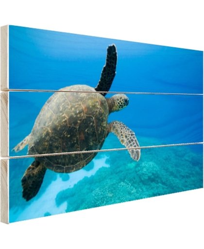 FotoCadeau.nl - Groene zwemmende schildpad  Hout 30x20 cm - Foto print op Hout (Wanddecoratie)