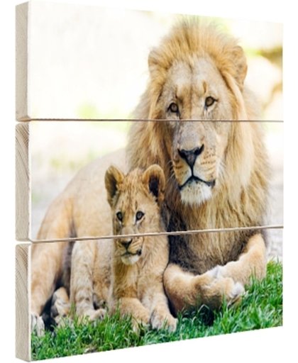 FotoCadeau.nl - Vader en leeuwenwelp Hout 30x20 cm - Foto print op Hout (Wanddecoratie)