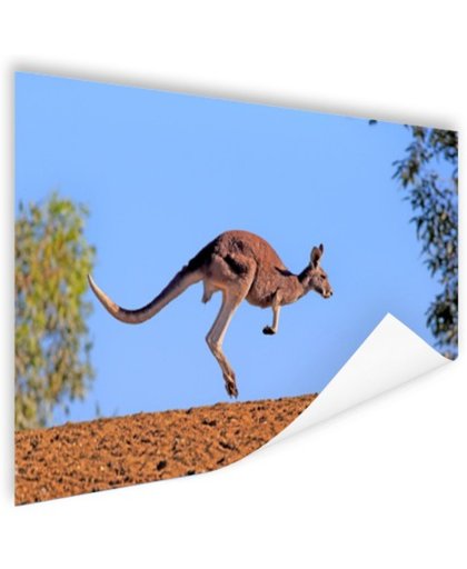 FotoCadeau.nl - Rode kangoeroe Poster 150x75 cm - Foto print op Poster (wanddecoratie)
