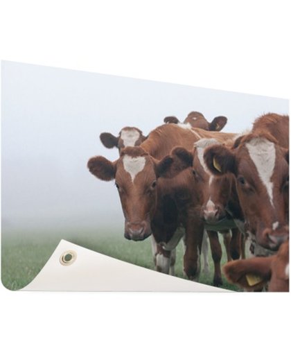 FotoCadeau.nl - Groep nieuwsgierige koeien Tuinposter 200x100 cm - Foto op Tuinposter (tuin decoratie)