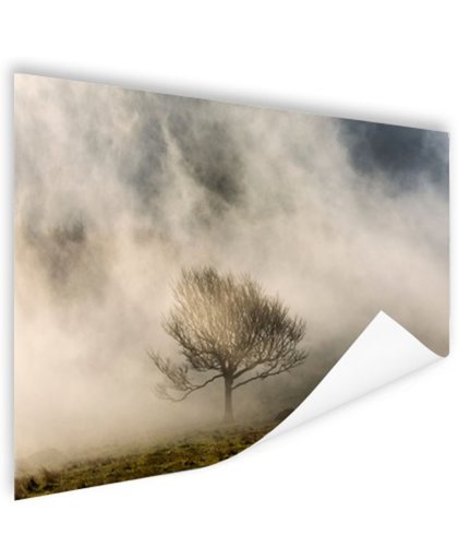 FotoCadeau.nl - Eenvoudige boom in de mist Poster 60x40 cm - Foto print op Poster (wanddecoratie)