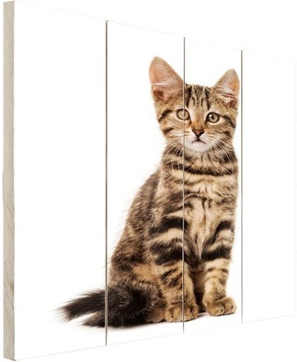 FotoCadeau.nl - Poserende kitten Hout 60x80 cm - Foto print op Hout (Wanddecoratie)