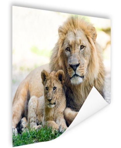 FotoCadeau.nl - Vader en leeuwenwelp Poster 120x80 cm - Foto print op Poster (wanddecoratie)
