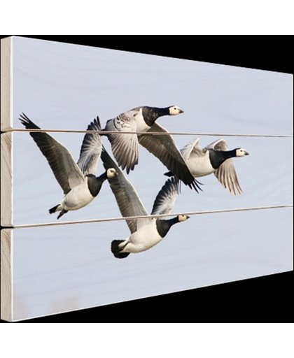 FotoCadeau.nl - Vier ganzen in de lucht Hout 120x80 cm - Foto print op Hout (Wanddecoratie)