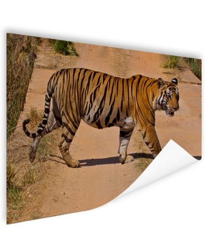 FotoCadeau.nl - Bengaalse tijger steekt over Poster 180x120 cm - Foto print op Poster (wanddecoratie)