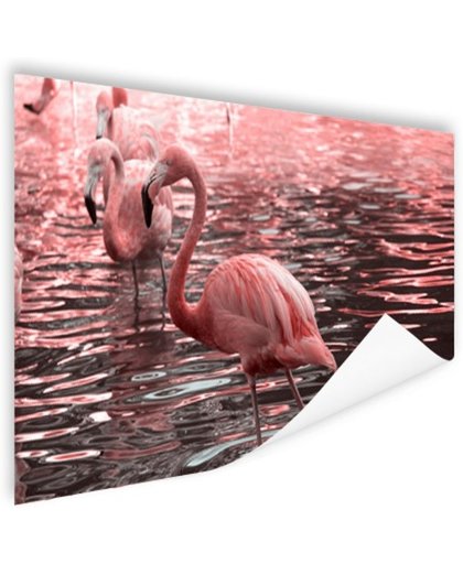 FotoCadeau.nl - Roze flamingos in water met reflectie Poster 150x75 cm - Foto print op Poster (wanddecoratie)