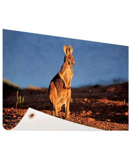 FotoCadeau.nl - Rode kangoeroe in nationaal park Tuinposter 120x80 cm - Foto op Tuinposter (tuin decoratie)