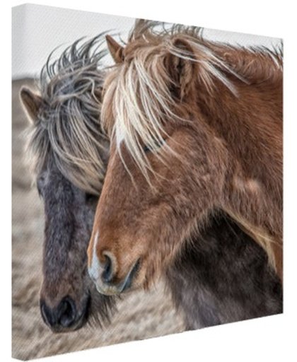 FotoCadeau.nl - IJslandse paarden Canvas 100x100 cm - Foto print op Canvas schilderij (Wanddecoratie)