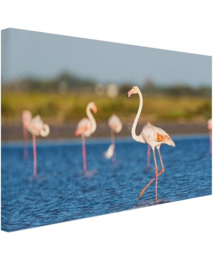 Groep Europese flamingos Canvas 180x120 cm - Foto print op Canvas schilderij (Wanddecoratie)