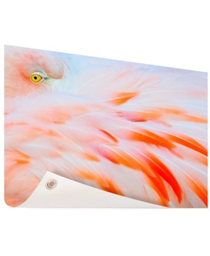 FotoCadeau.nl - Zachtroze flamingo veren Tuinposter 120x80 cm - Foto op Tuinposter (tuin decoratie)