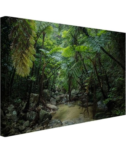 FotoCadeau.nl - Riviertje in tropische jungle Canvas 80x60 cm - Foto print op Canvas schilderij (Wanddecoratie)