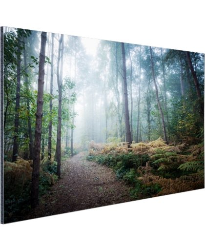 FotoCadeau.nl - Een mistig pad door het bos Aluminium 90x60 cm - Foto print op Aluminium (metaal wanddecoratie)