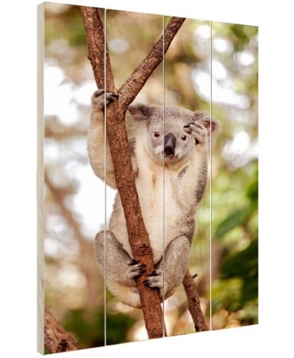 FotoCadeau.nl - Zwaaiende koala Hout 20x30 cm - Foto print op Hout (Wanddecoratie)