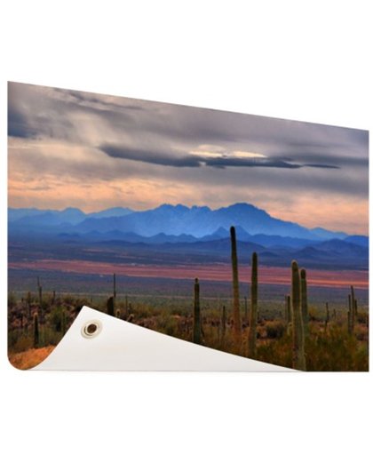 FotoCadeau.nl - Sonoran woestijn Mexico Tuinposter 200x100 cm - Foto op Tuinposter (tuin decoratie)