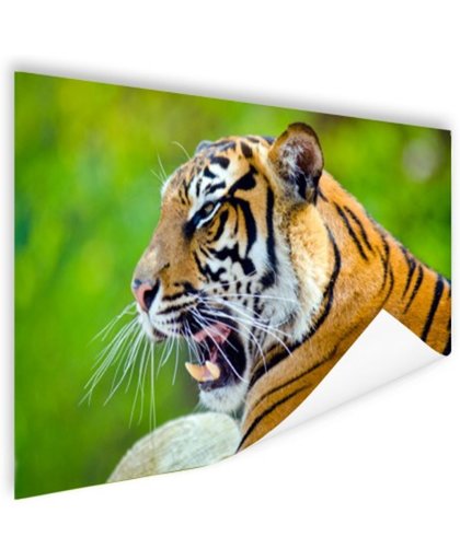 FotoCadeau.nl - Brullende tijger Poster 180x120 cm - Foto print op Poster (wanddecoratie)