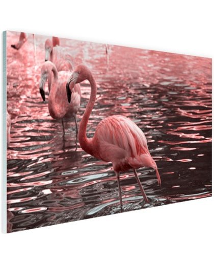 FotoCadeau.nl - Roze flamingos in water met reflectie Glas 60x40 cm - Foto print op Glas (Plexiglas wanddecoratie)