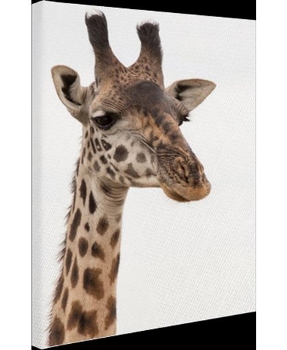 FotoCadeau.nl - Portret van een giraffe Canvas 40x60 cm - Foto print op Canvas schilderij (Wanddecoratie)