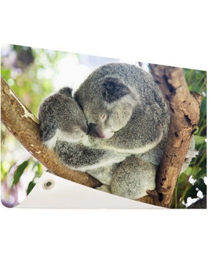 FotoCadeau.nl - Knuffelende koala moeder en joey Tuinposter 60x40 cm - Foto op Tuinposter (tuin decoratie)