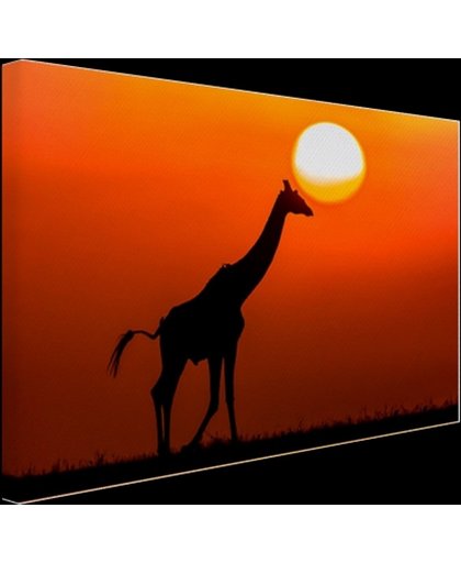 Giraffe bij zonsondergang Canvas 180x120 cm - Foto print op Canvas schilderij (Wanddecoratie)