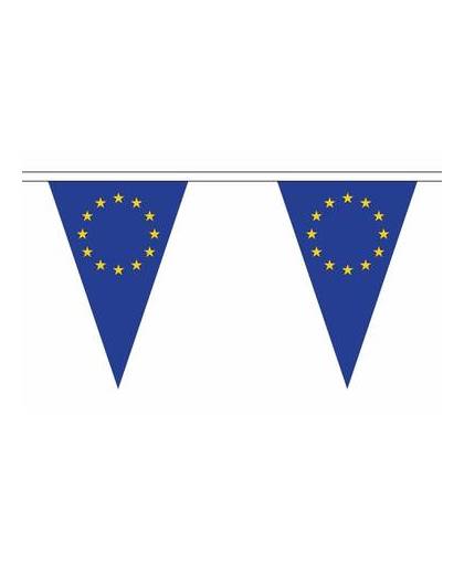 Polyester vlaggenlijn europa 5 meter